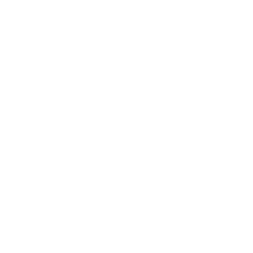 Auto Antunes